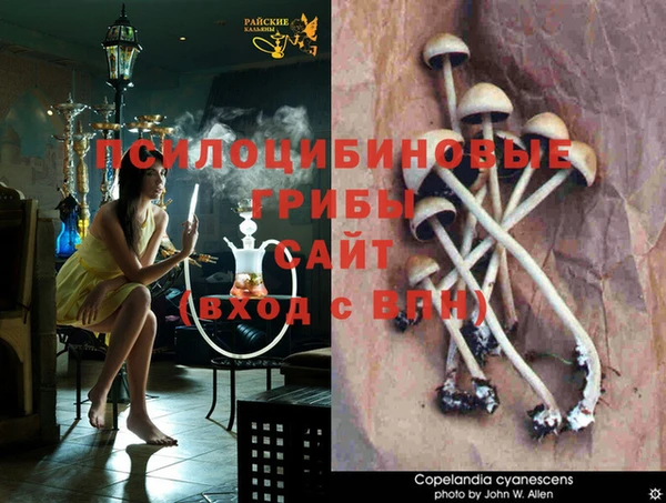 скорость Алексин