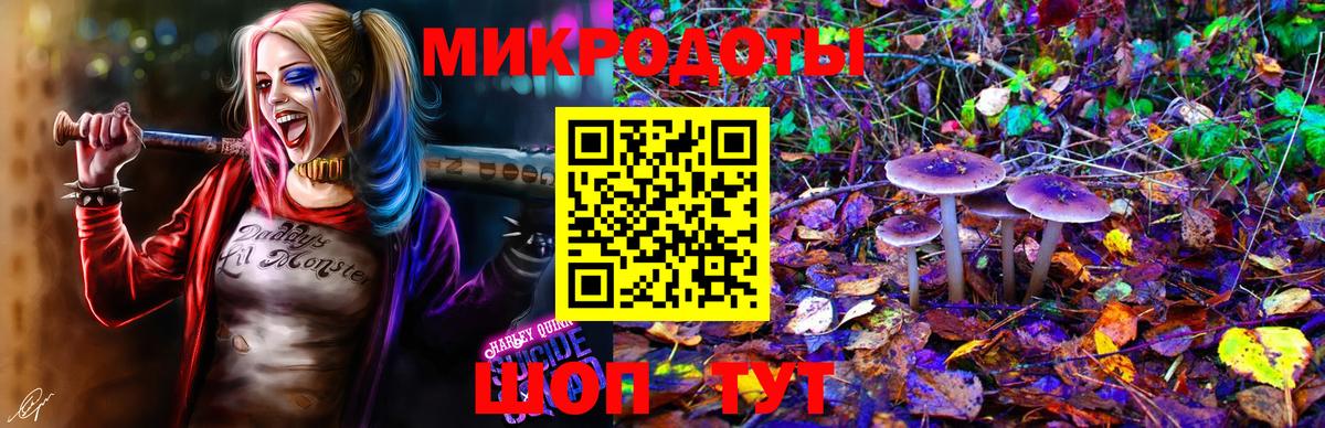 Прохладный  Галлюциногенные грибы Cubensis  Вход с VPN 